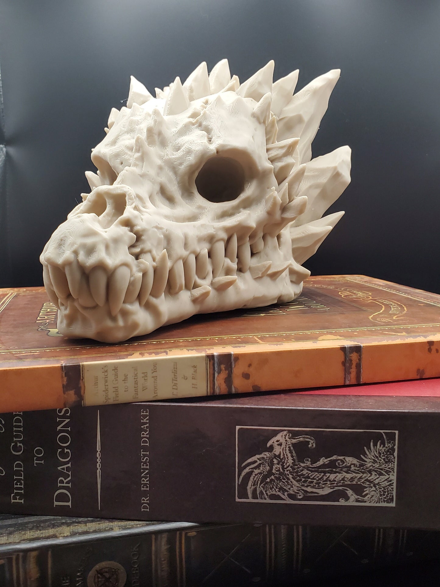 Dragon Skull with Interchangeable Horns
