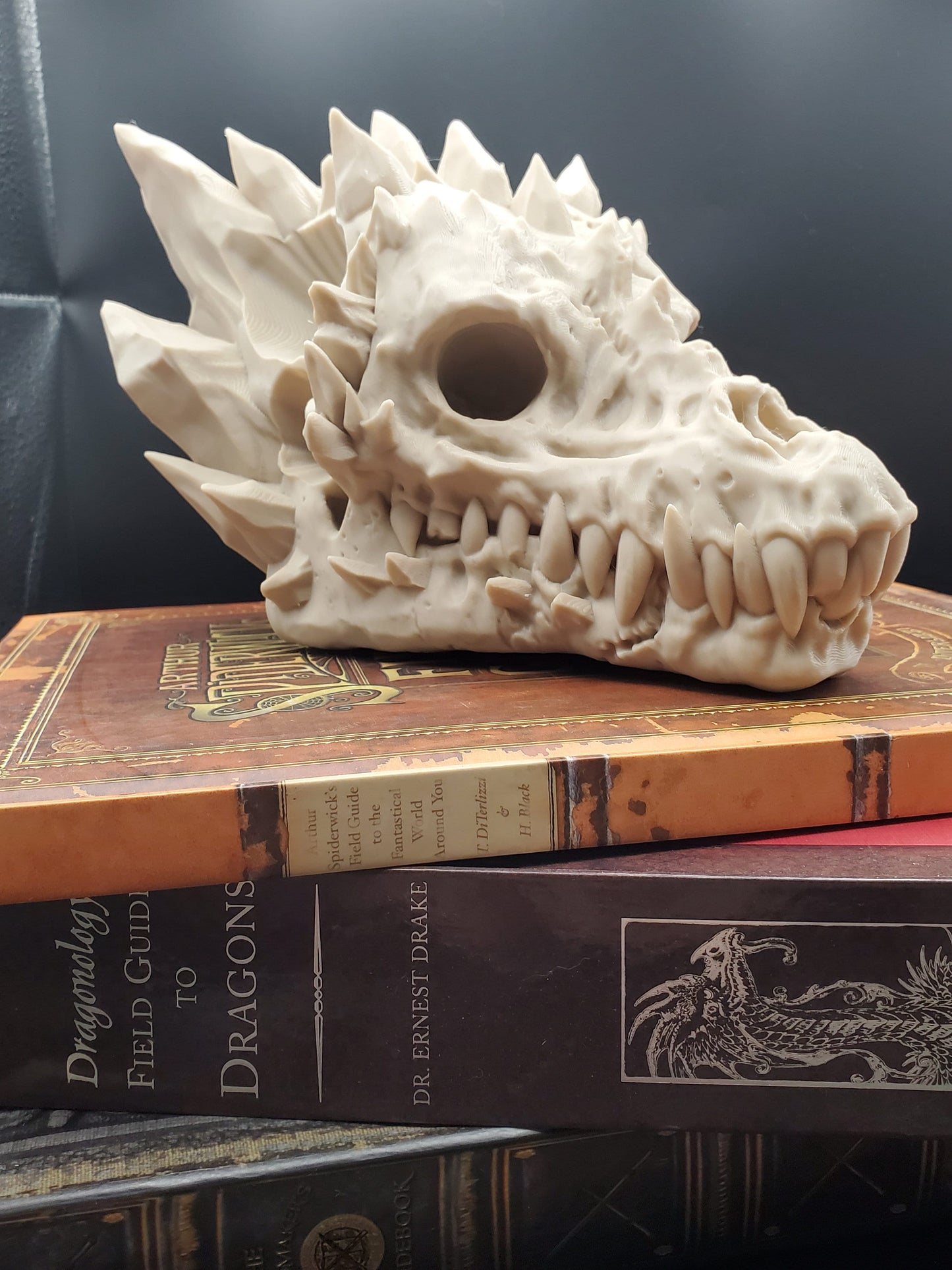 Dragon Skull with Interchangeable Horns