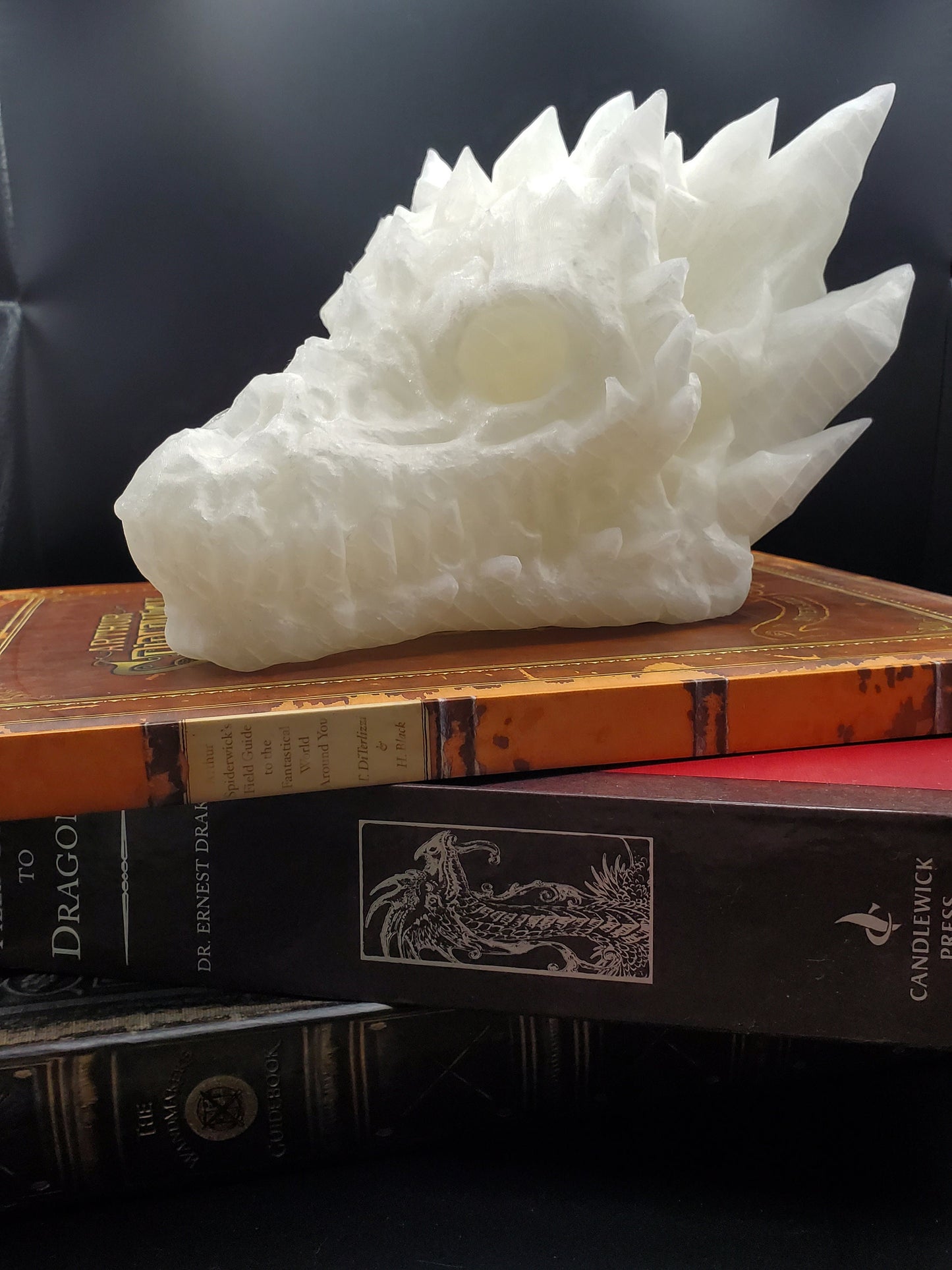 Dragon Skull with Interchangeable Horns