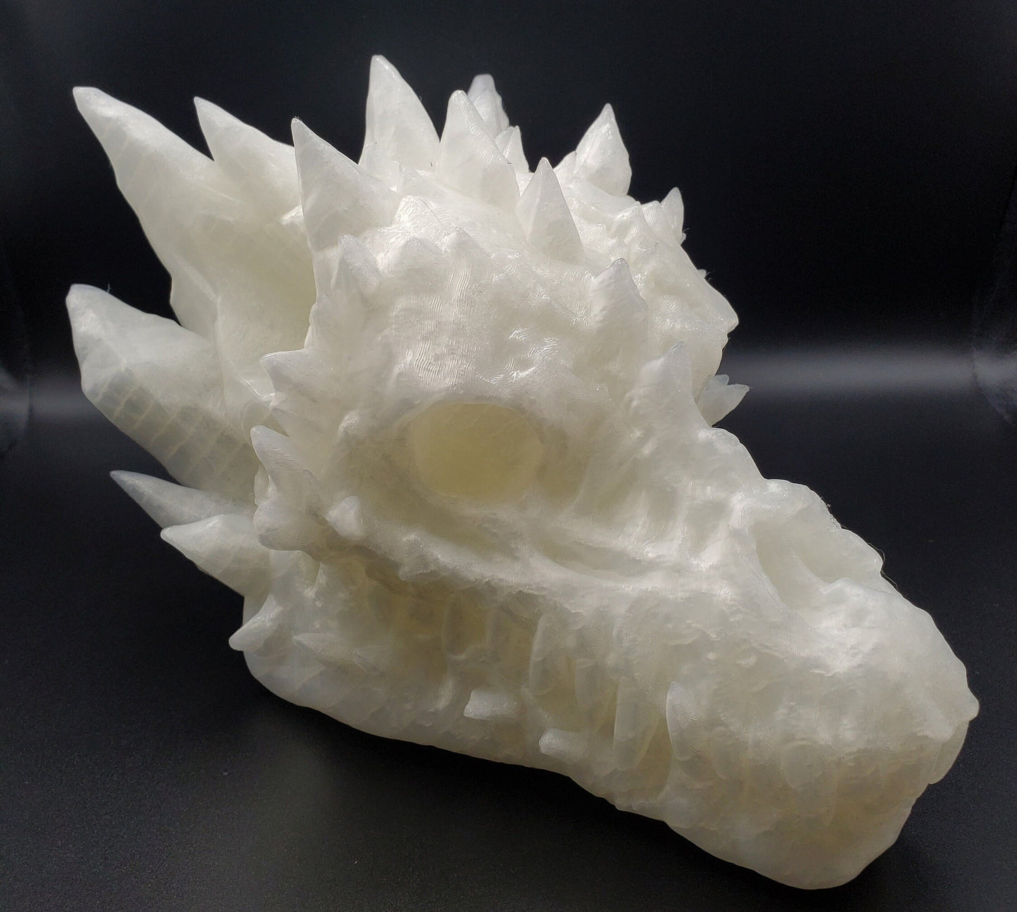 Dragon Skull with Interchangeable Horns