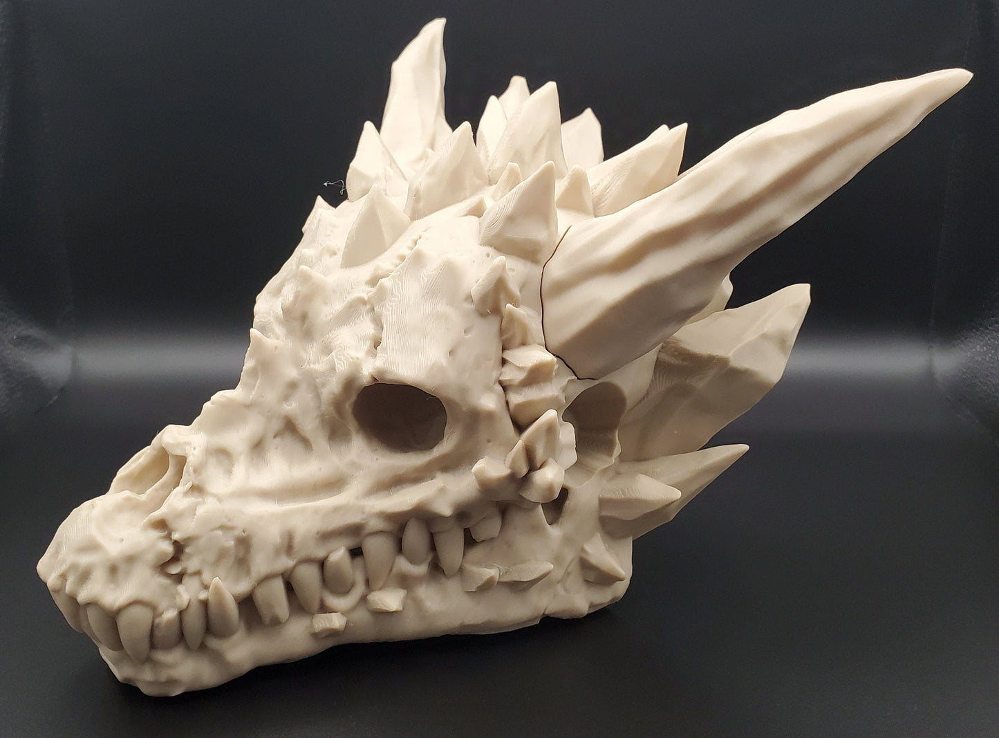 Dragon Skull with Interchangeable Horns