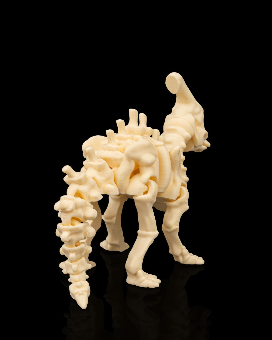 Flexi Dinosaurs- Bone