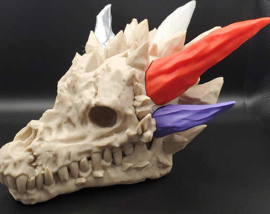 Dragon Skull with Interchangeable Horns