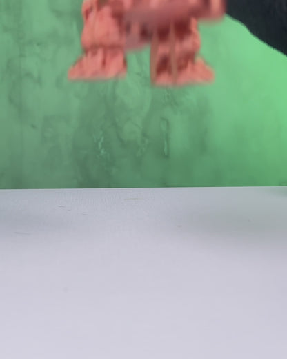 Flexi Dinosaur Fidgets- Standard