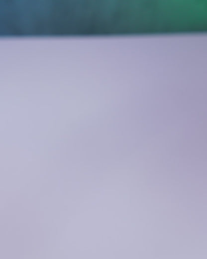 Flexi Dinosaur Fidgets- Standard